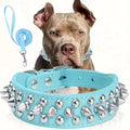 Ensemble Collier et Laisse Cloutés pour Chien - Cuir Réglable