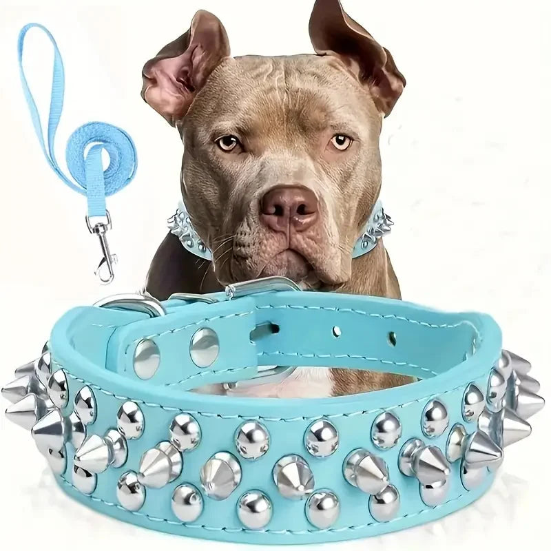 Ensemble Collier et Laisse Cloutés pour Chien - Cuir Réglable