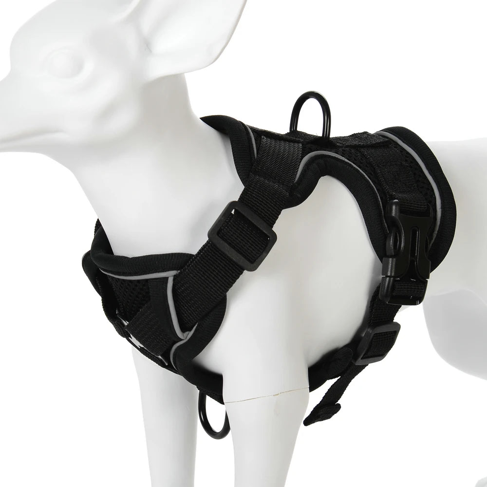🐶 Ensemble Harnais & Laisse Premium pour Petit Chien