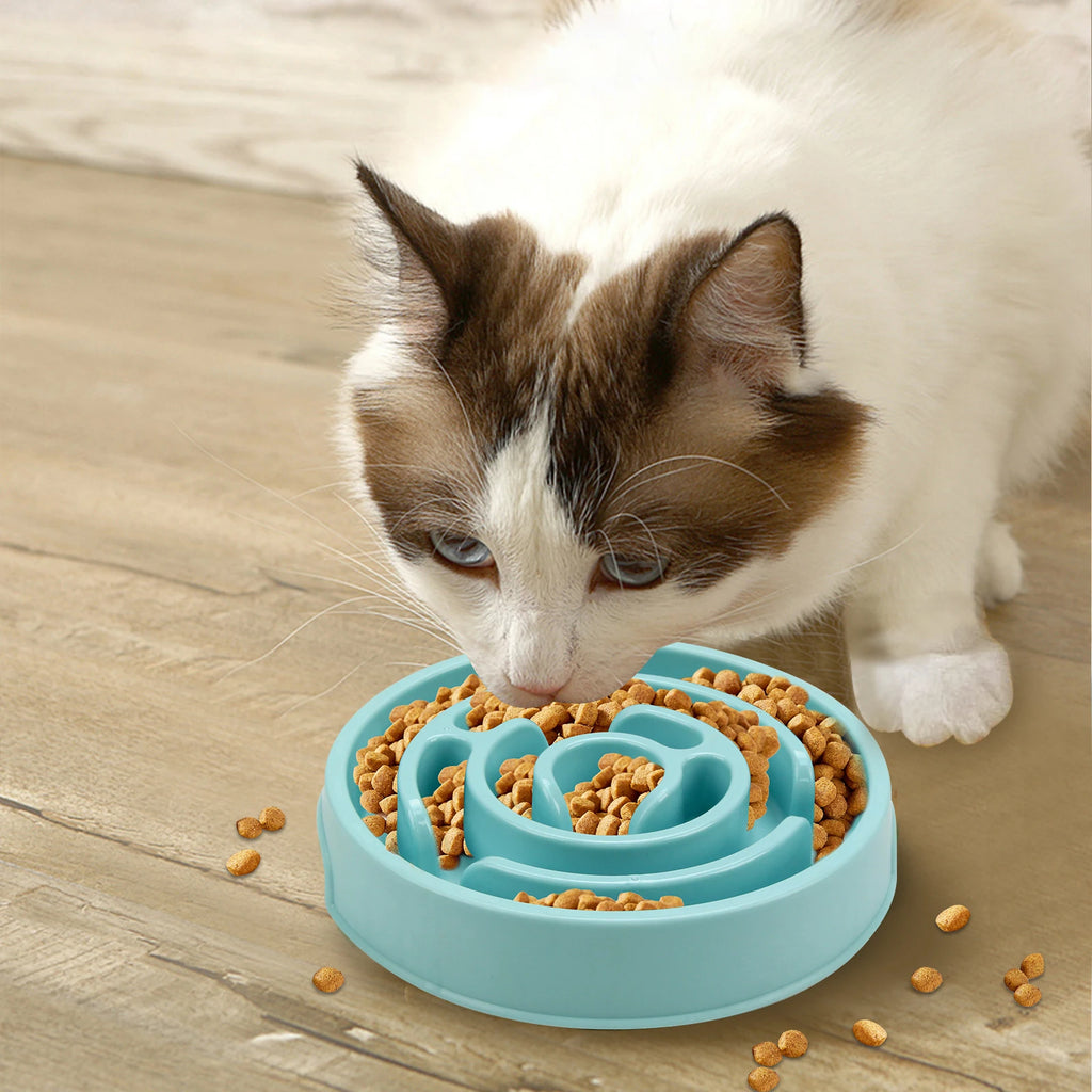 🐶 Gamelle Anti-Glouton pour Chien – Des repas plus lents, une meilleure digestion
