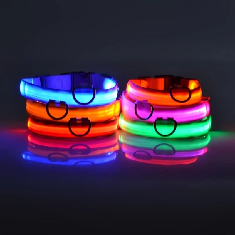 Collier LED Lumineux pour Chien – Visible jusqu'à 500 m