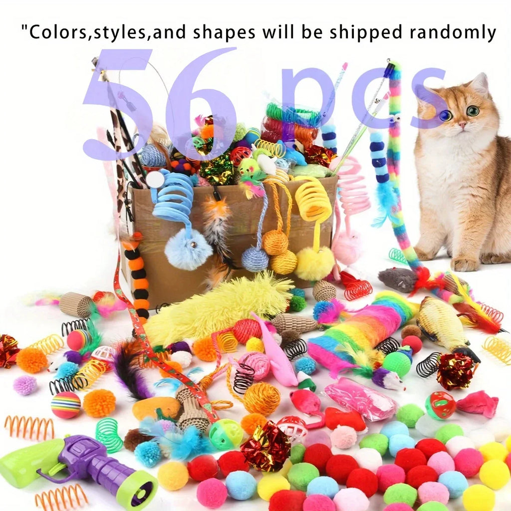 Chat jouant avec des jouets en peluche colores