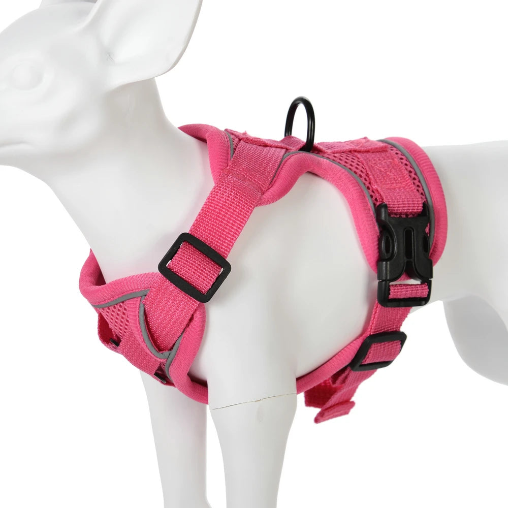🐶 Ensemble Harnais & Laisse Premium pour Petit Chien