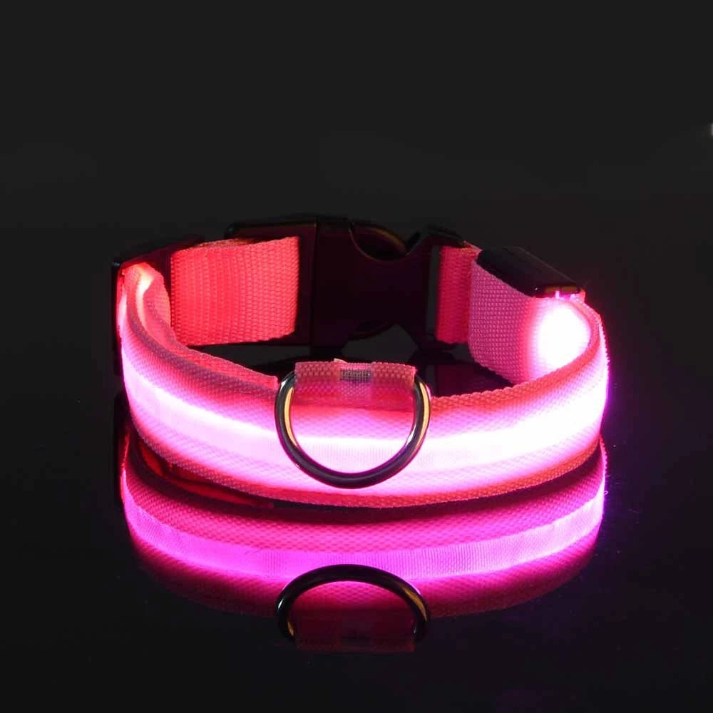 Collier LED Lumineux pour Chien – Visible jusqu'à 500 m