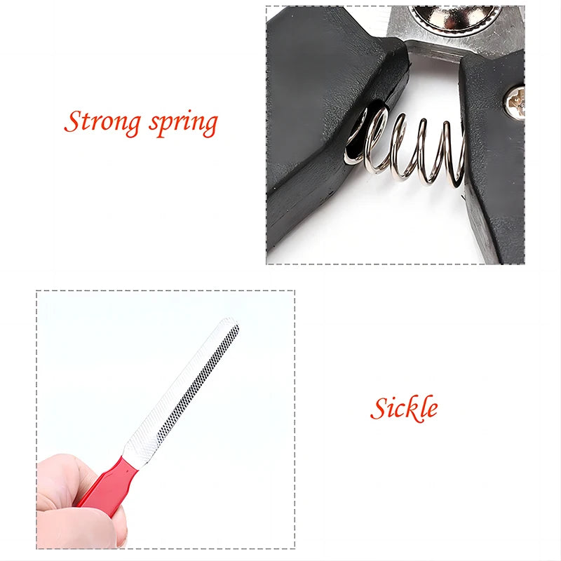 ✂️ Coupe-Griffes Inox pour Chien & Chat