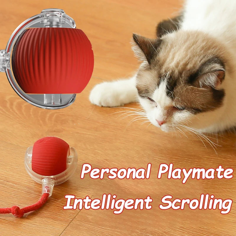 Balle Interactive Automatique pour Chat - Queue Factice, Rechargeable