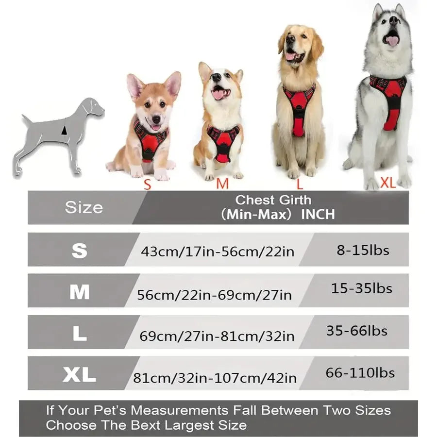 🐕 Harnais Anti-Traction Premium