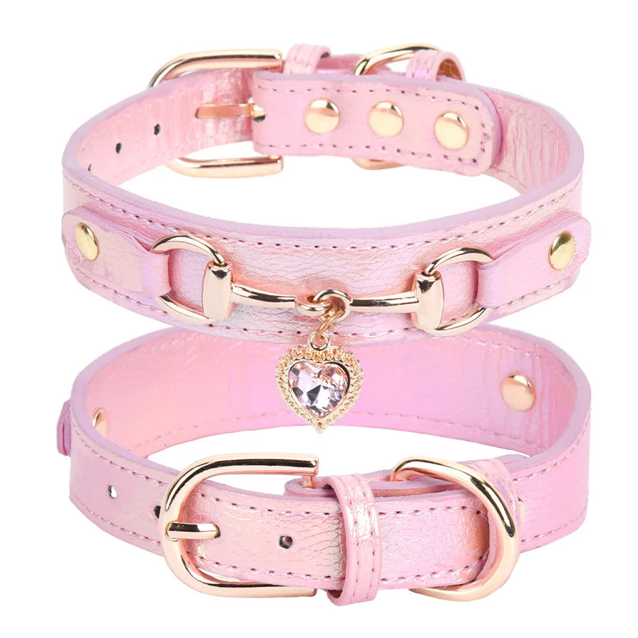 Collier pour chien vue de profil