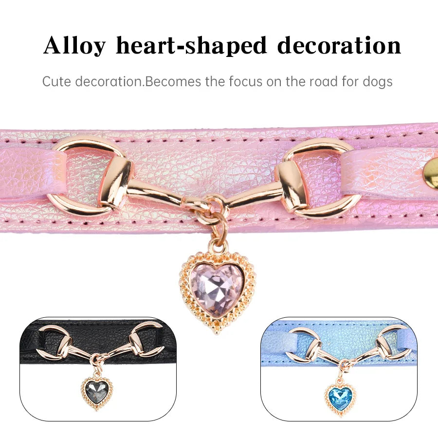 Chien portant le collier cuir strass