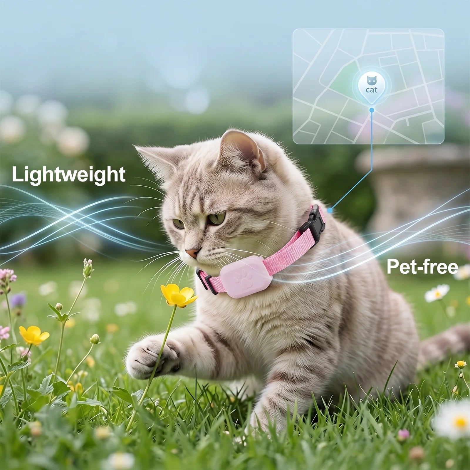 📍 Traqueur GPS Collier pour Chien & Chat (Compatible iPhone)