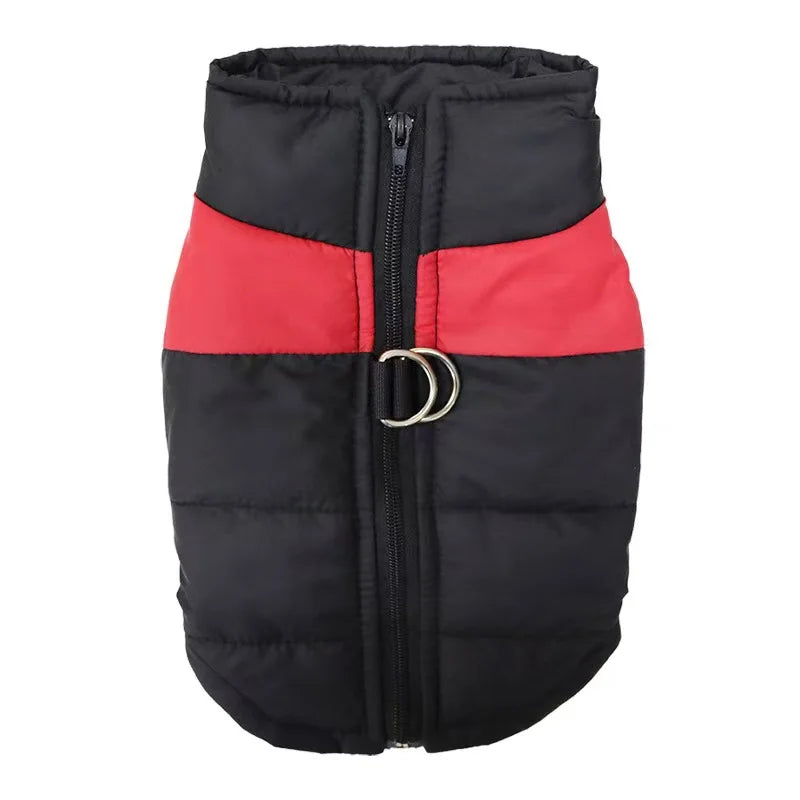 Manteau Imperméable et Chaud pour Chien – Protection Hiver & Pluie