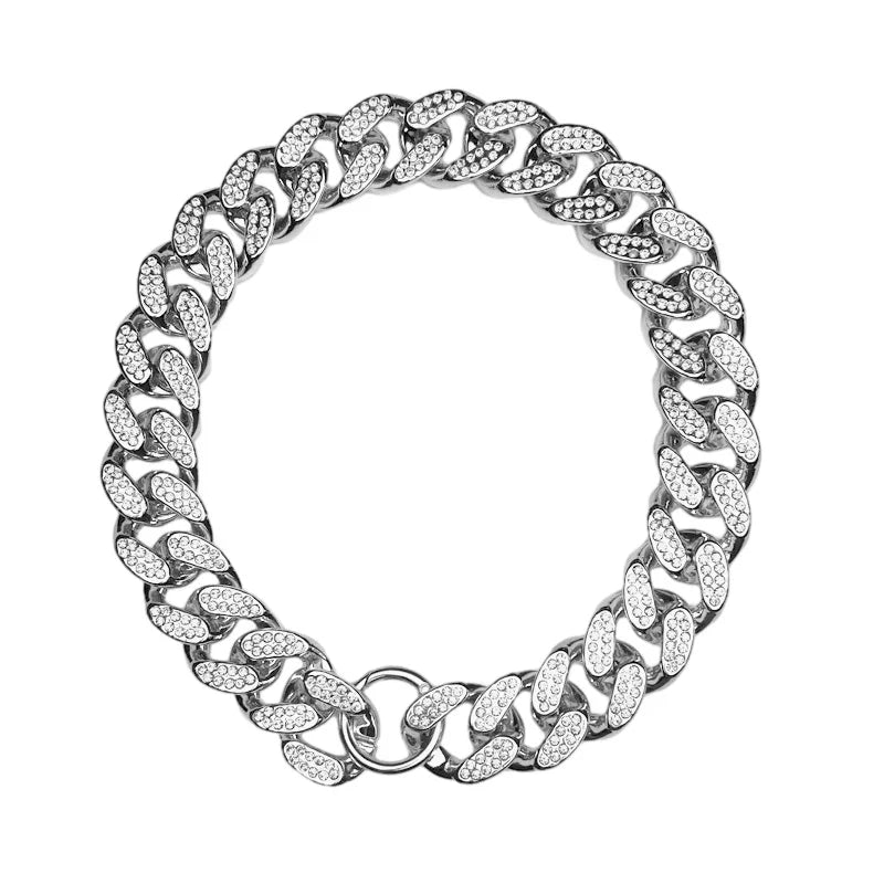 Chaine bling pour chien posee sur fond blanc
