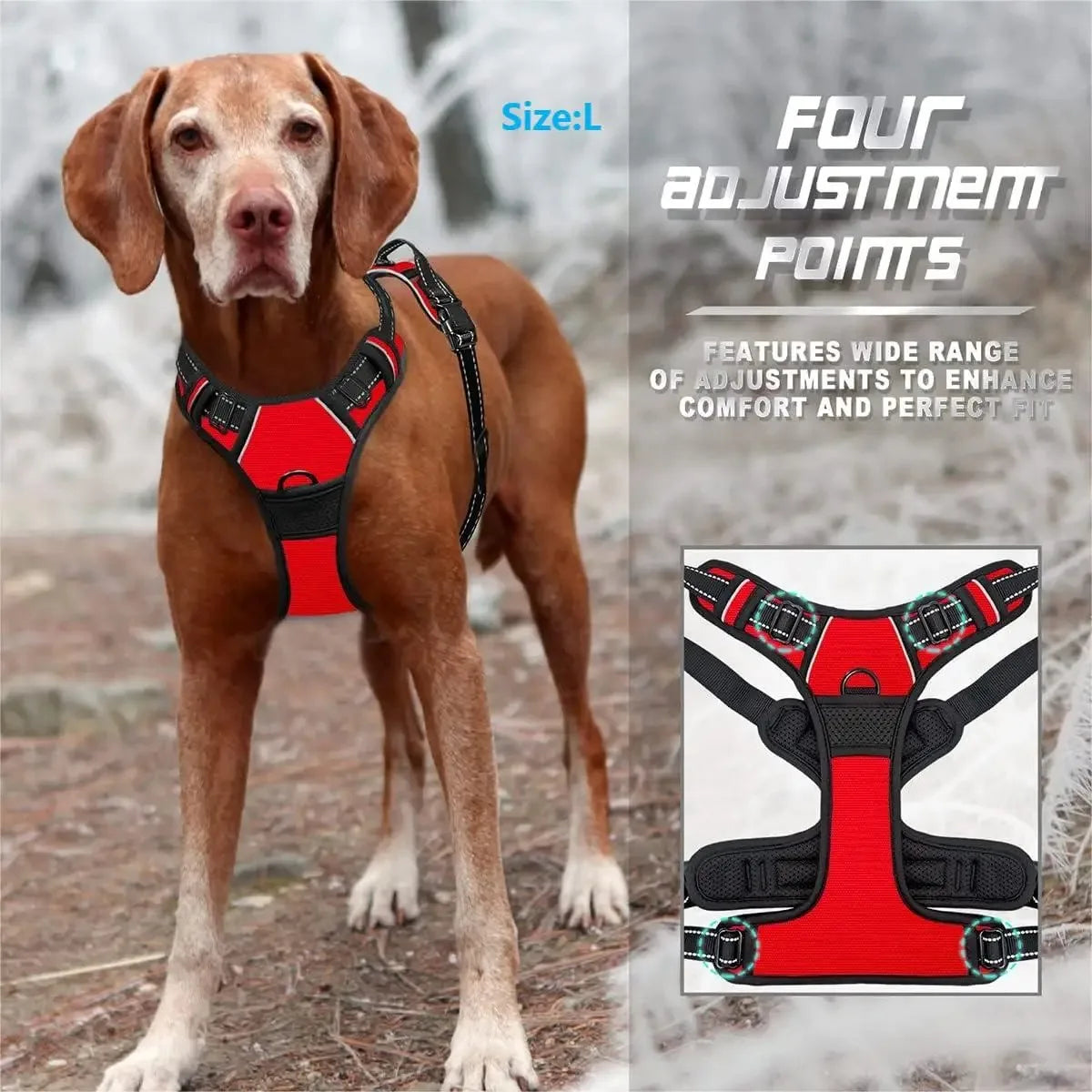 🐕 Harnais Anti-Traction Premium