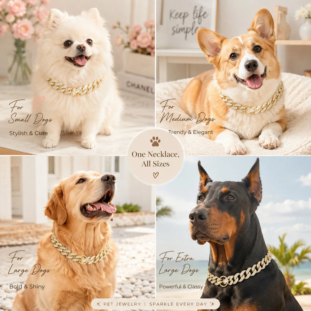 Detail du fermoir de la chaine pour chien