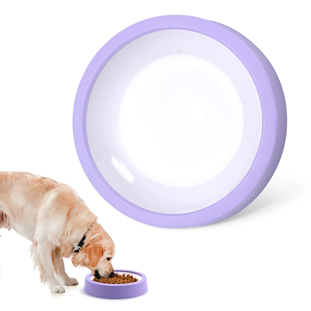 🐶 Gamelle Anti-Glouton pour Chien – Des repas plus lents, une meilleure digestion