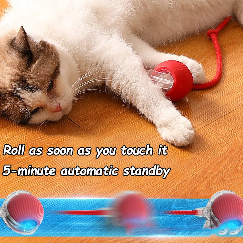 Balle Interactive Automatique pour Chat - Queue Factice, Rechargeable