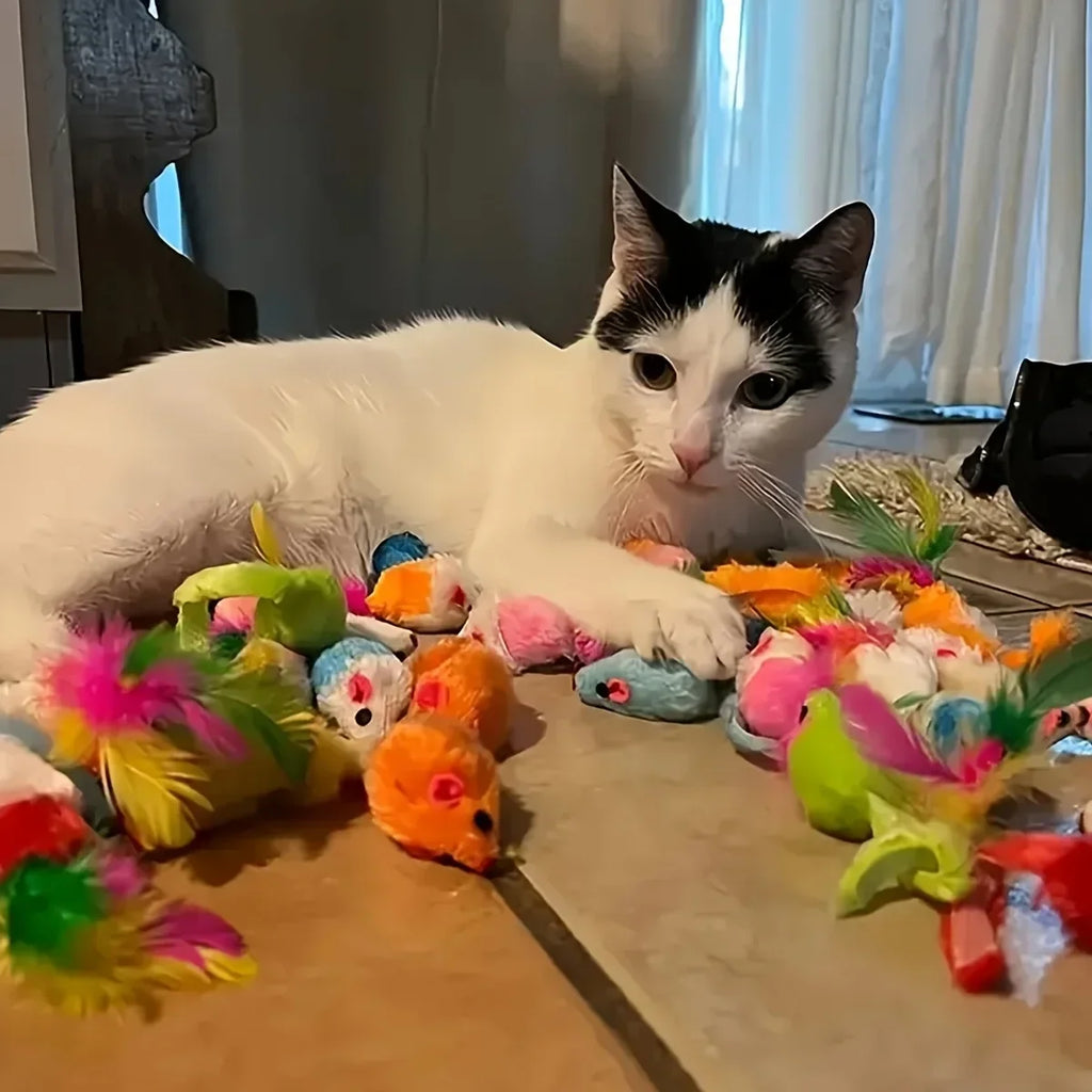 Jouets pour chat avec plumes et grelots