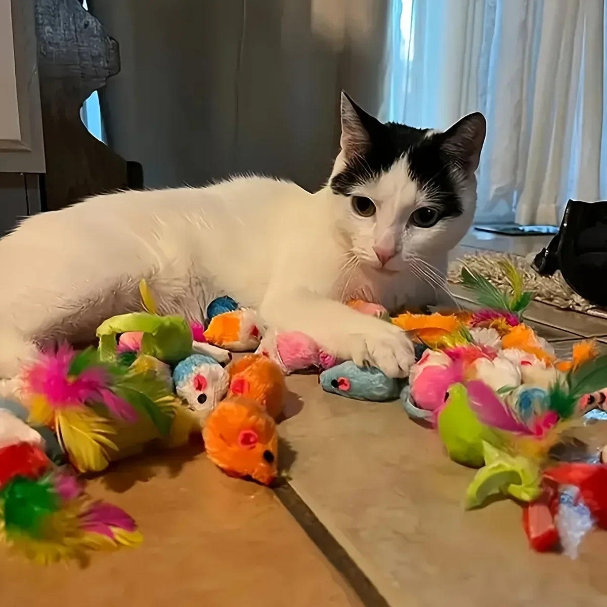 Jouets pour chat avec plumes et grelots
