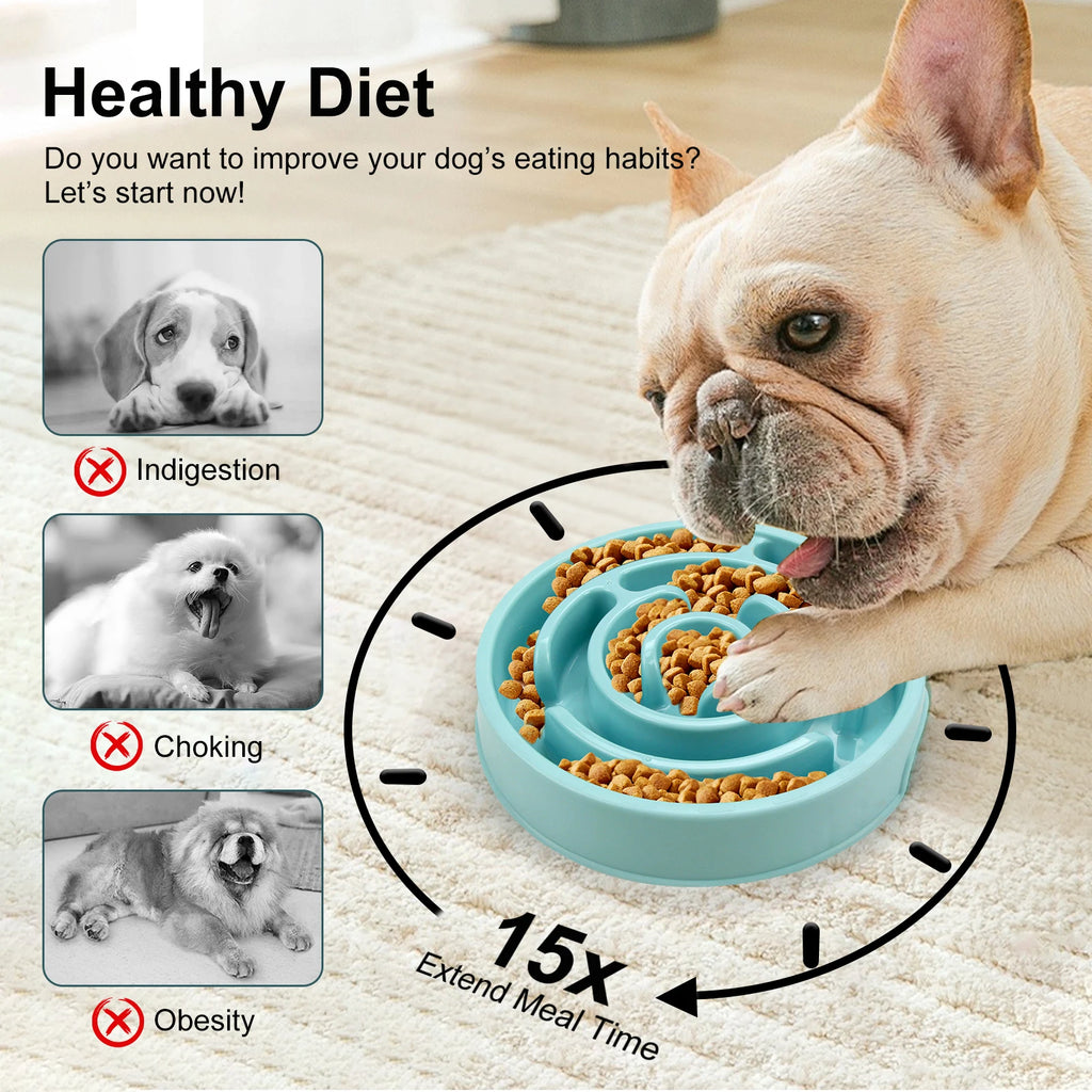 🐶 Gamelle Anti-Glouton pour Chien – Des repas plus lents, une meilleure digestion