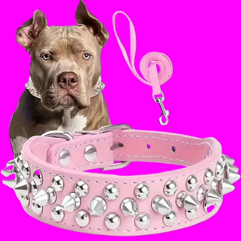 Ensemble Collier et Laisse Cloutés pour Chien - Cuir Réglable
