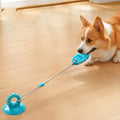 Jouet pour chien à Ventouse